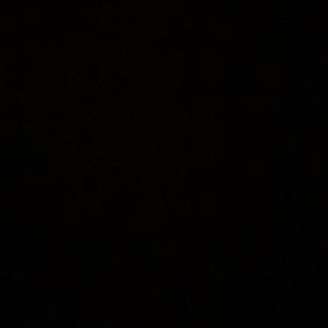 Meet your Posher, Eulaysia